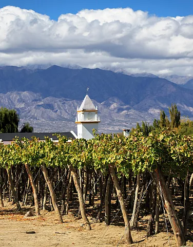 Argentina - Our Guide to the Country's Best Wine Regions